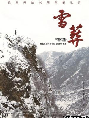 热播推荐